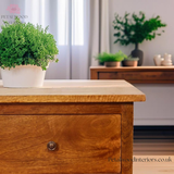 Dark Solid Wood - Bedside Table - 60cm Height - 2 Drawers - Petalwood Interiors
