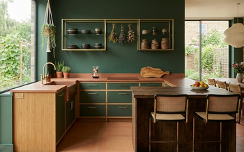 Are Cabinets Eco-Friendly