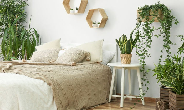 Do Bedside Tables Have to Be the Same Height